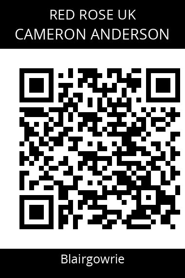 QR code for cameron-anderson-1