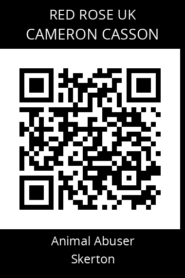 QR code for cameron-casson