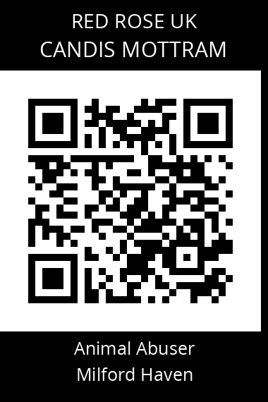 QR code for candis-mottram