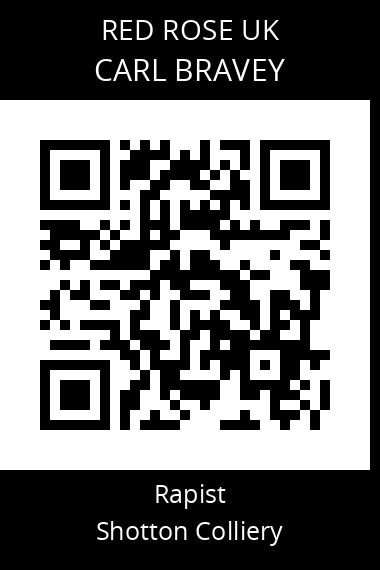 QR code for carl-bravey