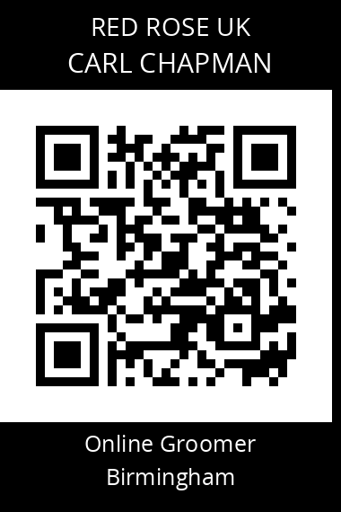 QR code for carl-chapman