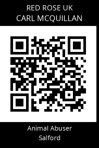QR code for carl-mcquillan