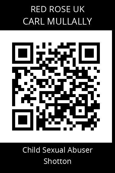 QR code for carl-mullally