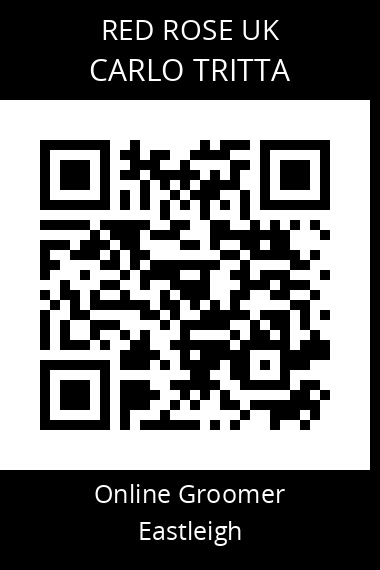 QR code for carlo-tritta-1