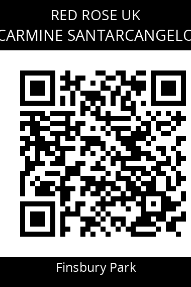 QR code for carmine-santarcangelo