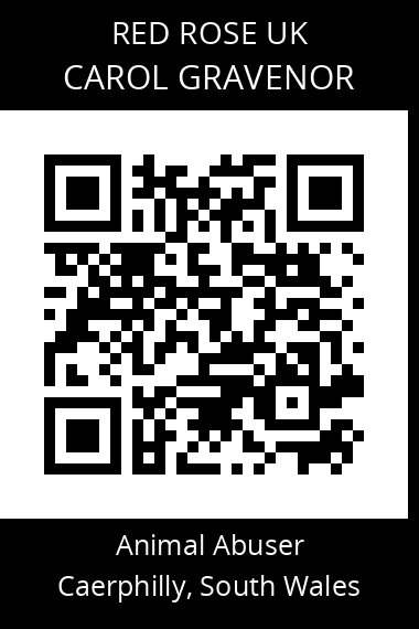 QR code for carol-gravenor
