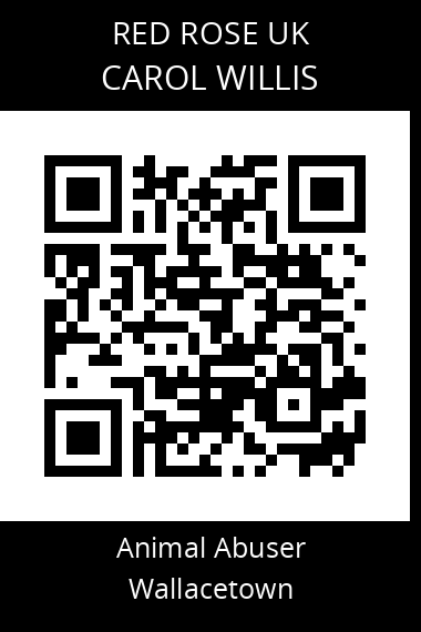 QR code for carol-willis