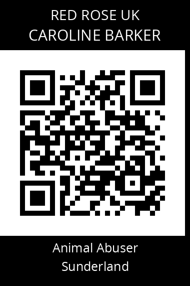 QR code for caroline-barker