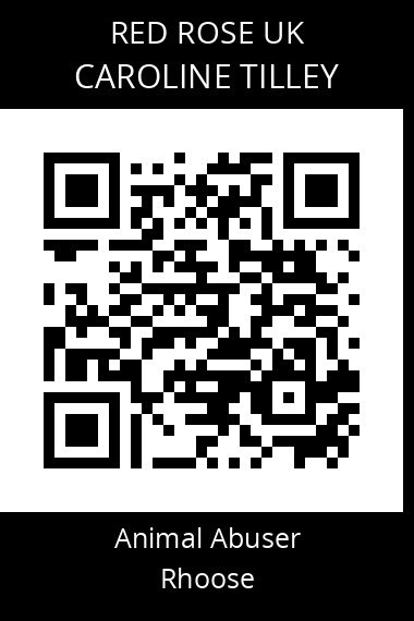 QR code for caroline-tilley