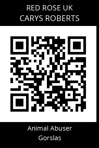 QR code for carys-ann-roberts