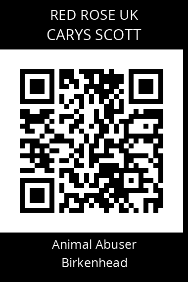 QR code for carys-scott