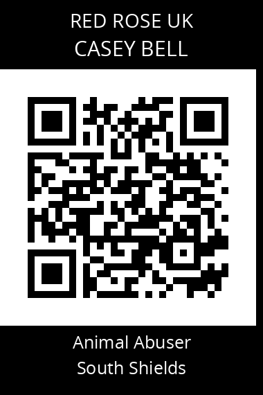 QR code for casey-bell