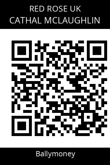 QR code for cathal-mclaughlin-1
