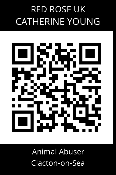 QR code for catherine-young