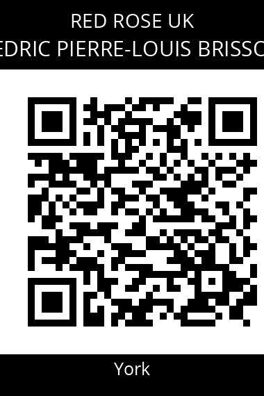 QR code for cedric-pierre-louis-brisson