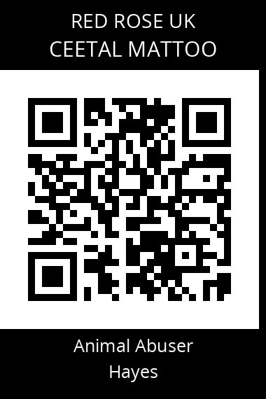 QR code for ceetal-mattoo