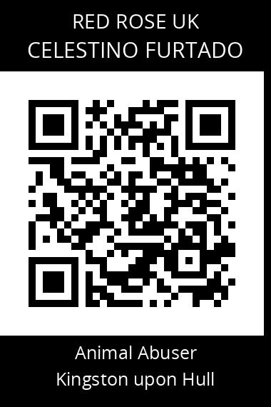 QR code for celestino-furtado