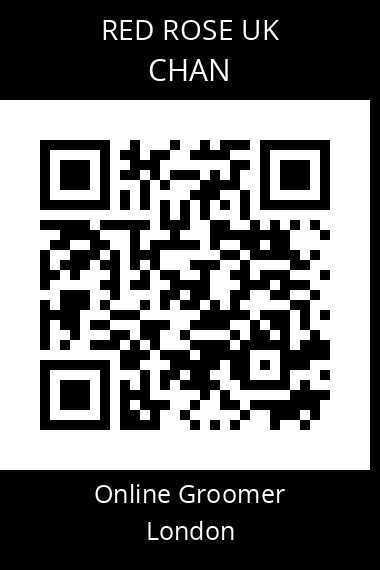 QR code for chan