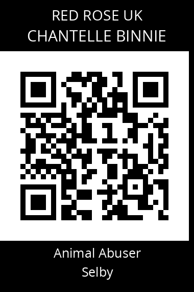 QR code for chantelle-binnie