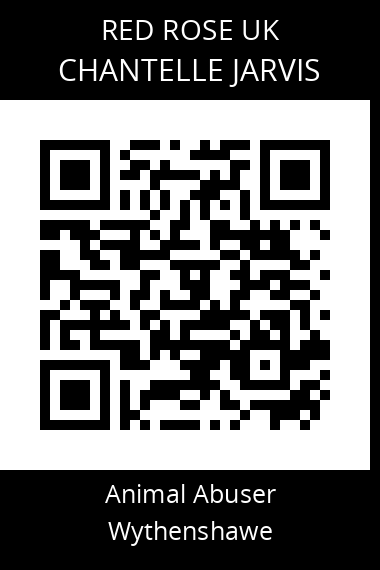 QR code for chantelle-jarvis