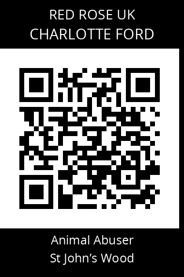 QR code for charlotte-ford