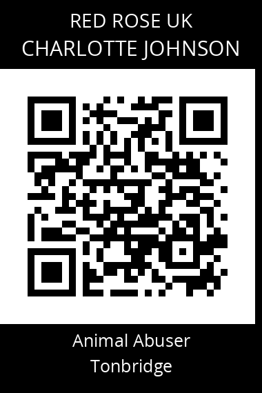 QR code for charlotte-johnson