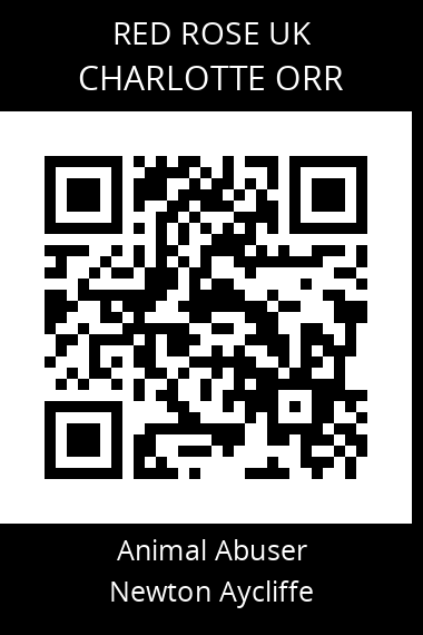 QR code for charlotte-orr