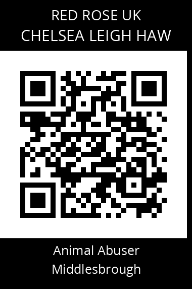 QR code for chelsea-leigh-haw