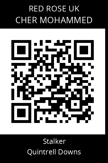QR code for cher-mohammed