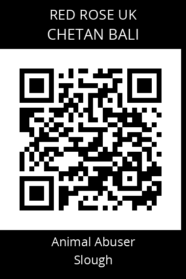QR code for chetan-bali