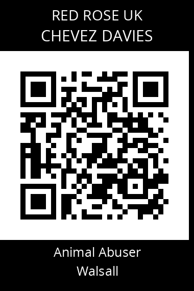 QR code for chevez-davies