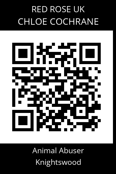 QR code for chloe-cochrane