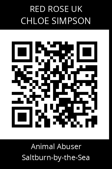 QR code for chloe-simpson-1