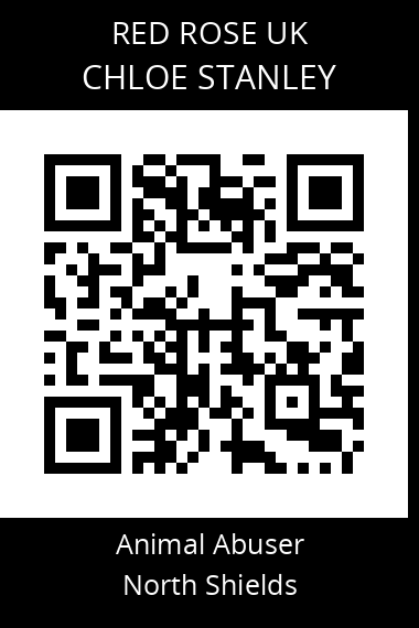 QR code for chloe-stanley-2