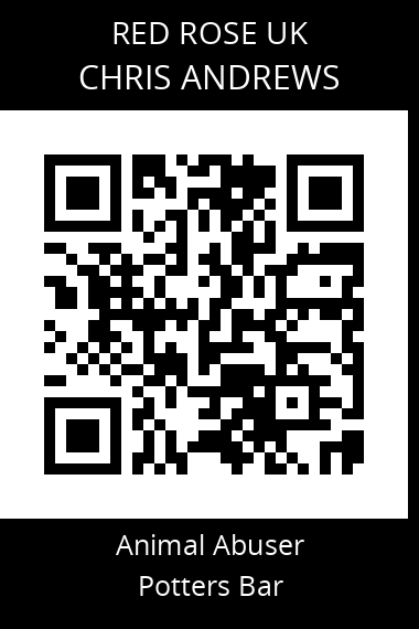 QR code for chris-andrews