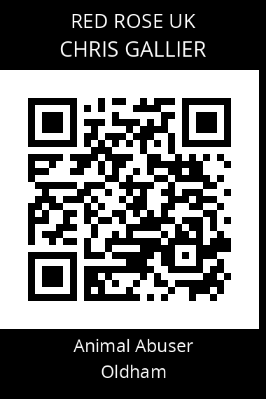 QR code for chris-gallier