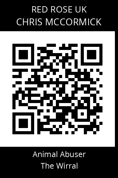 QR code for chris-mccormick-1