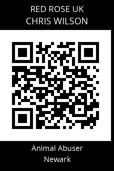 QR code for chris-wilson
