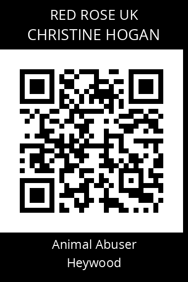 QR code for christine-hogan