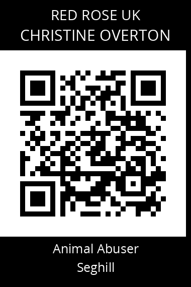QR code for christine-overton
