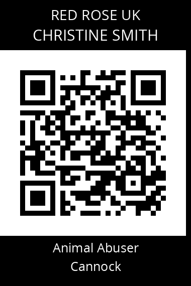QR code for christine-smith