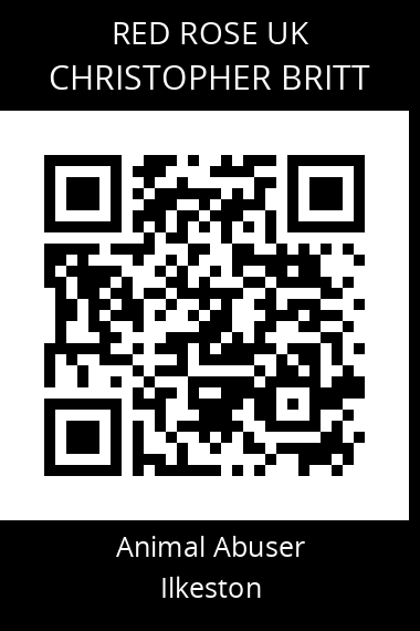 QR code for christopher-britt
