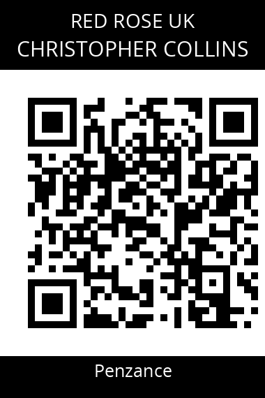 QR code for christopher-collins