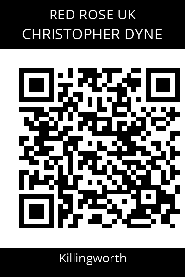 QR code for christopher-dyne-1