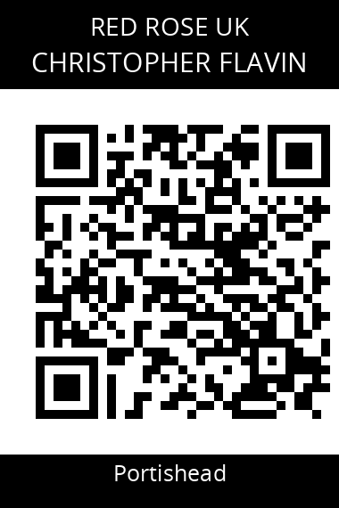 QR code for christopher-flavin-1