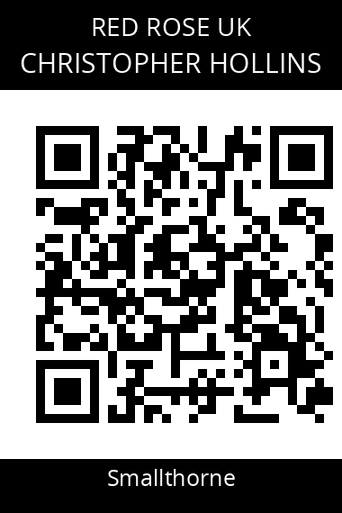 QR code for christopher-hollins