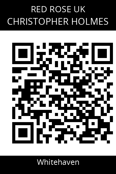QR code for christopher-holmes