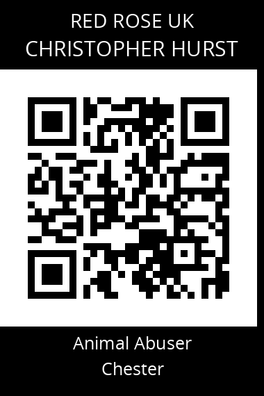 QR code for christopher-hurst