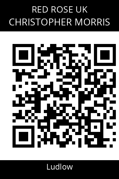 QR code for christopher-morris