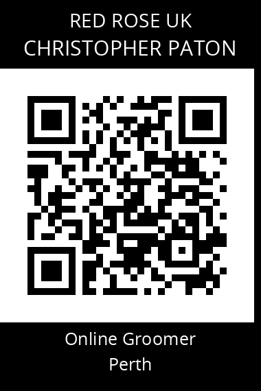 QR code for christopher-paton